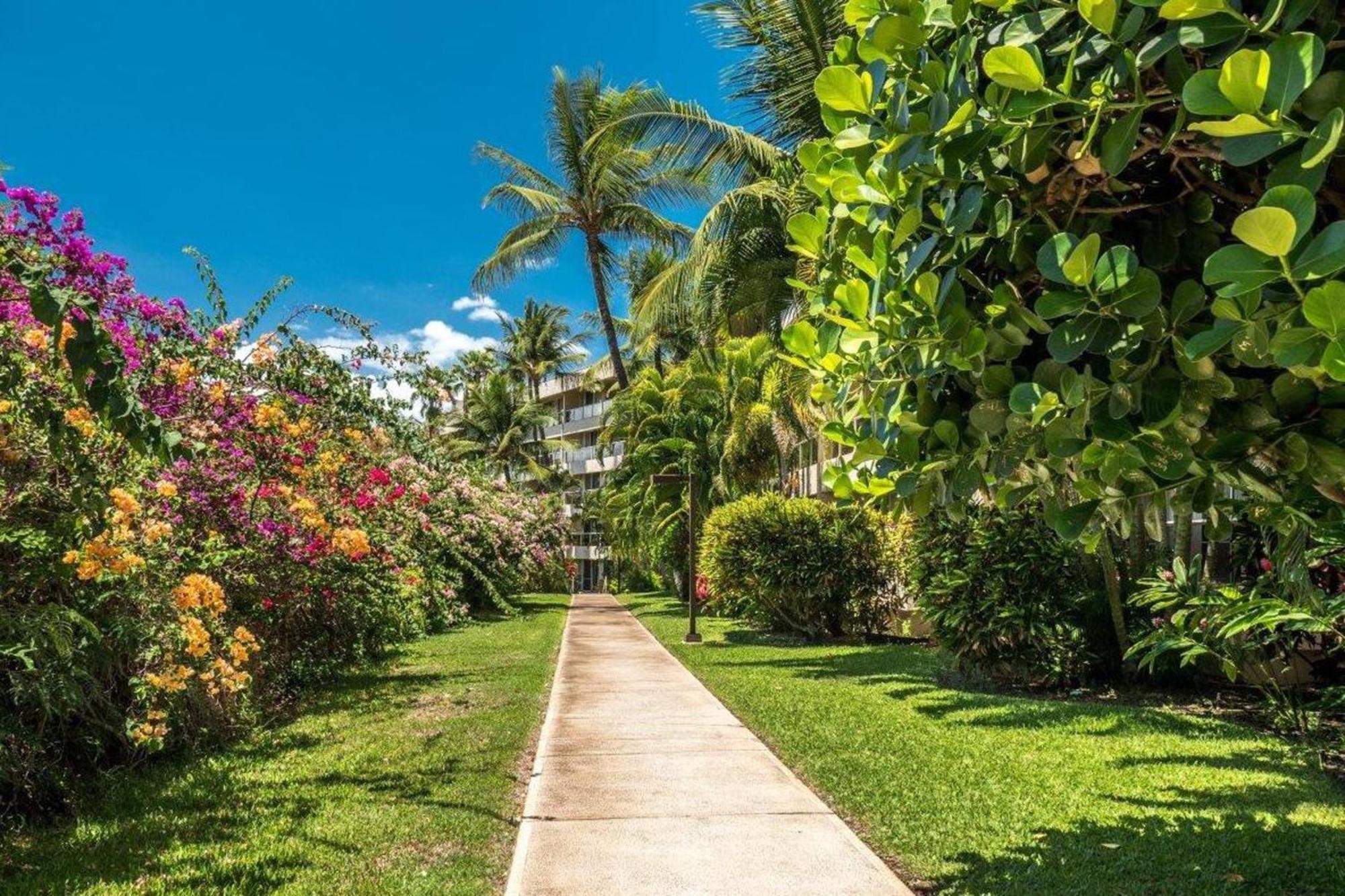 Maui Banyan Villa Wailea  Cameră foto