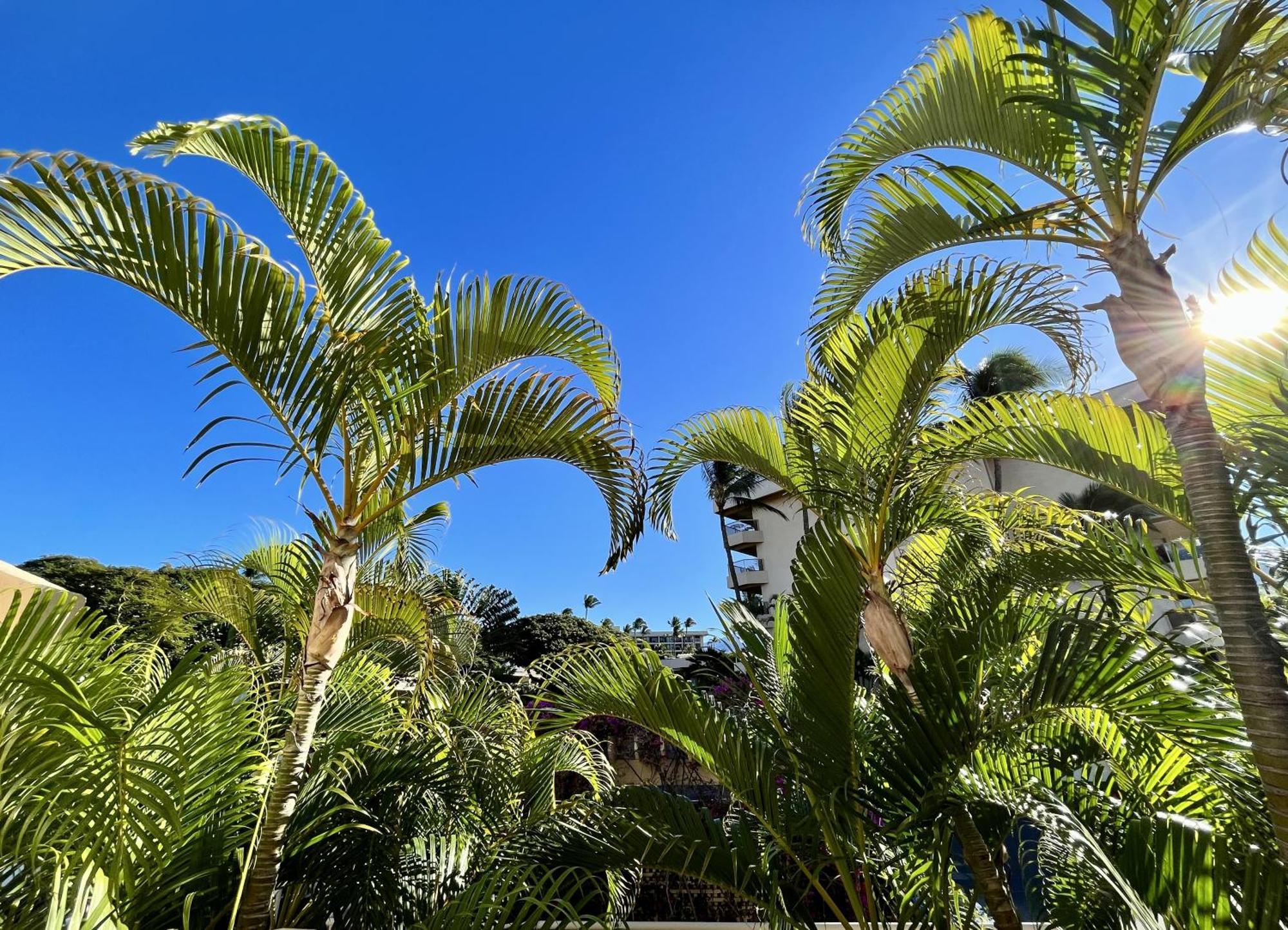 Maui Banyan Villa Wailea  Cameră foto